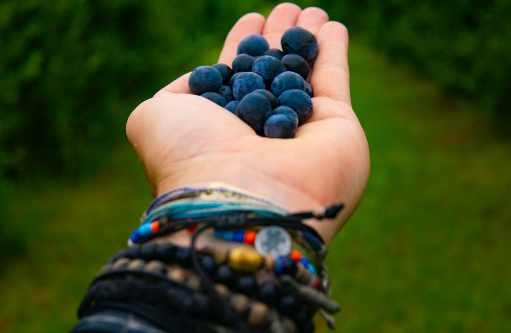 Paleo And Intermittent Fasting: Getting The Benefits Of Both Diets